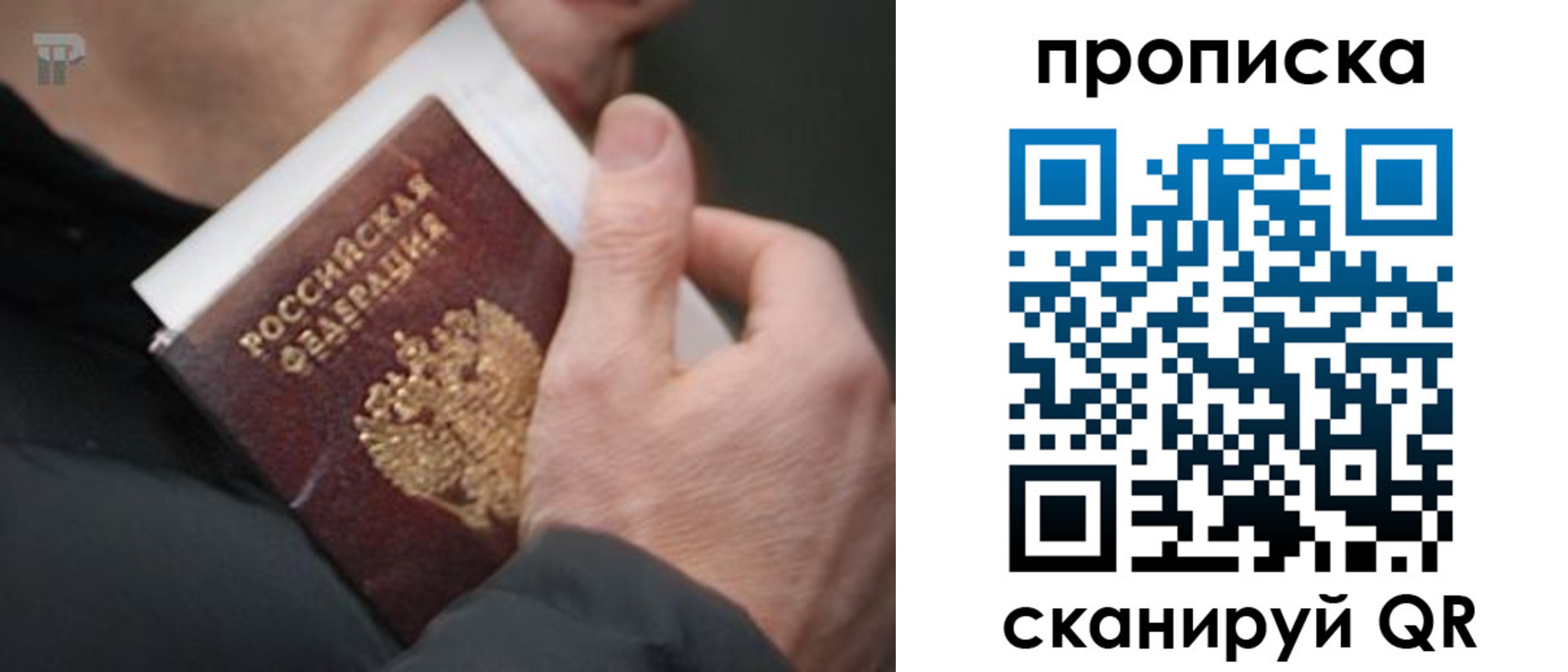 временная регистрация гарантия в Топках